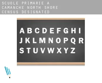 Scuole primarie a  Camanche North Shore