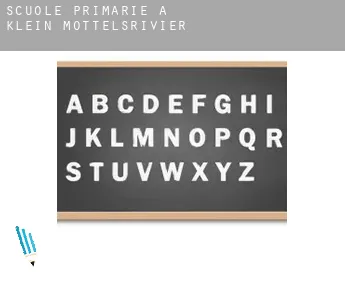 Scuole primarie a  Klein Mottelsrivier