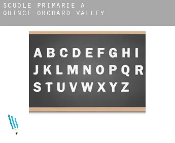 Scuole primarie a  Quince Orchard Valley