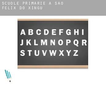 Scuole primarie a  São Félix do Xingu
