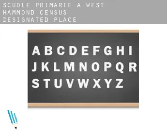 Scuole primarie a  West Hammond