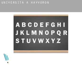 Università a  Hayvoron