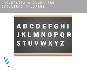 Università a  Ingeniero Guillermo N. Juárez