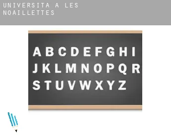 Università a  Les Noaillettes