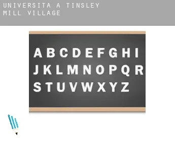 Università a  Tinsley Mill Village