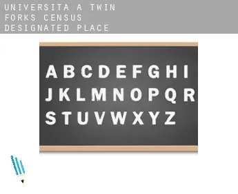 Università a  Twin Forks