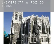 Università a  Foz do Iguaçu