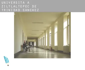 Università a  Ziltlaltepec de Trinidad Sanchez Santos