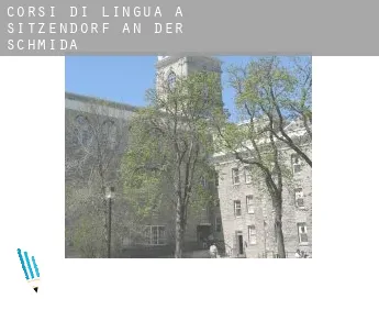 Corsi di lingua a  Sitzendorf an der Schmida