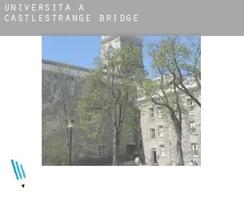Università a  Castlestrange Bridge