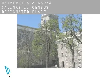 Università a  Garza-Salinas II