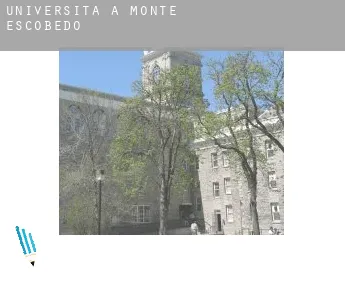 Università a  Monte Escobedo