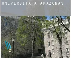 Università a  Amazonas