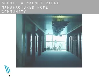 Scuole a  Walnut Ridge Manufactured Home Community