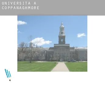 Università a  Coppanaghmore