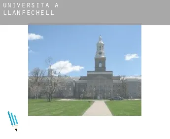 Università a  Llanfechell