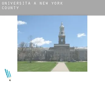 Università a  New York County