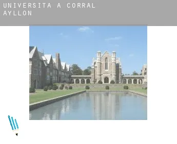 Università a  Corral de Ayllón