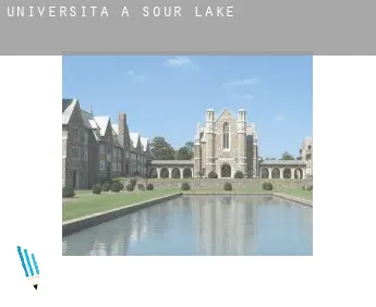 Università a  Sour Lake
