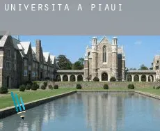 Università a Piauí