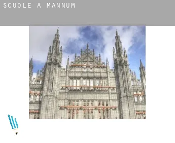 Scuole a  Mannum
