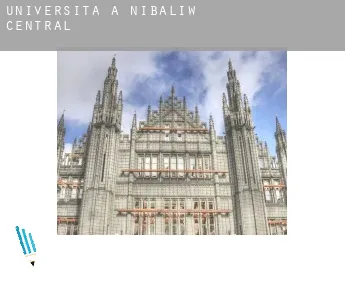Università a  Nibaliw Central