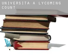 Università a  Lycoming County