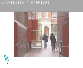 Università a  Naumburg