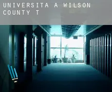 Università a  Wilson County