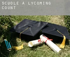 Scuole a  Lycoming County