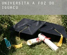 Università a  Foz do Iguaçu