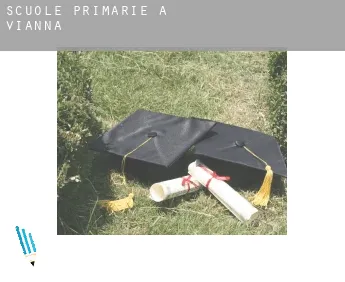 Scuole primarie a  Vianna
