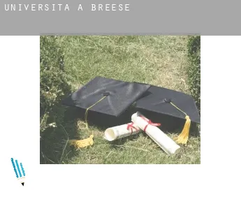 Università a  Breese