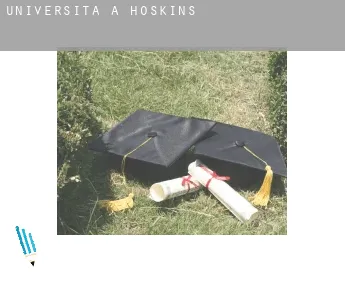 Università a  Hoskins