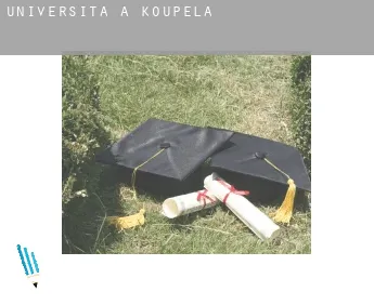 Università a  Koupéla