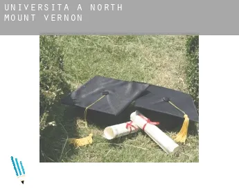 Università a  North Mount Vernon
