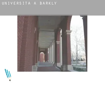 Università a  Barkly