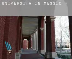 Università in Messico