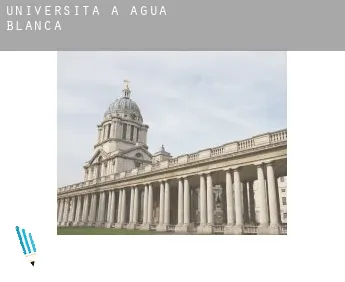 Università a  Agua Blanca