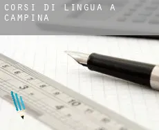 Corsi di lingua a Campinas