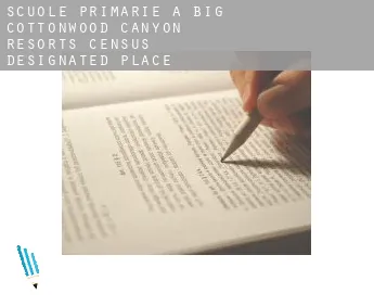 Scuole primarie a  Big Cottonwood Canyon Resorts