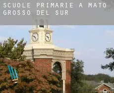 Scuole primarie a Mato Grosso do Sul