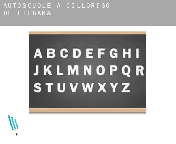 Autoscuole a  Cillorigo de Liébana