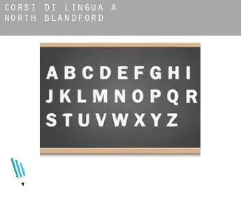 Corsi di lingua a  North Blandford