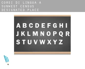 Corsi di lingua a  Sunwest