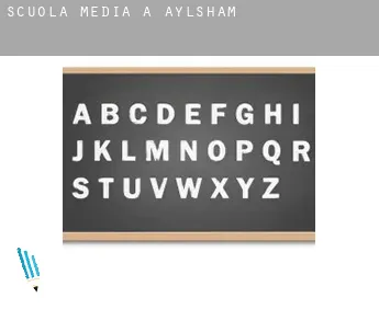 Scuola media a  Aylsham