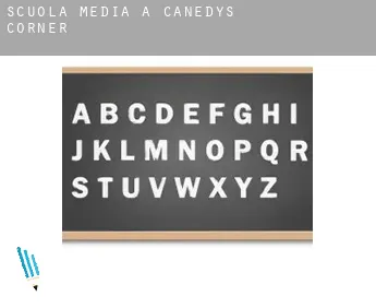 Scuola media a  Canedys Corner