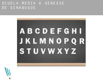 Scuola media a  Sénesse-de-Senabugue