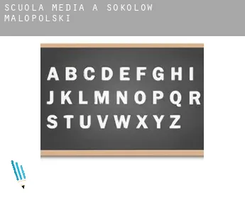 Scuola media a  Sokołów Małopolski