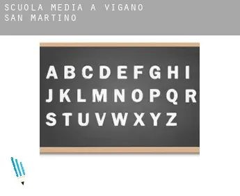 Scuola media a  Vigano San Martino